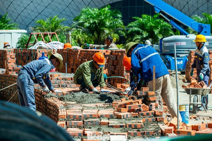 Việc tập trung nguồn lực triển khai dự án không chỉ nhằm khắc phục những hư hỏng của công trình sau bão số 3 mà còn góp phần củng cố cơ sở vật chất phục vụ đào tạo, huấn luyện thể thao thành tích cao. Khi hoàn thành, Nhà thi đấu thể thao dưới nước sẽ tiếp tục là một hạng mục quan trọng trong hệ thống thiết chế thể thao của Quảng Ninh, tạo điều kiện nâng cao chất lượng huấn luyện, thi đấu và phục vụ tổ chức các giải thể thao trong nước, quốc tế.