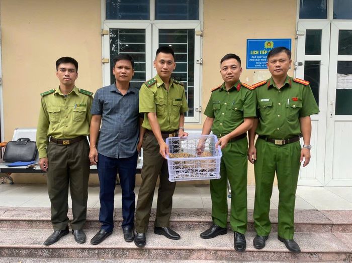 Lực lượng kiểm lâm tiếp nhận, thả 2 cá thể rùa quý hiếm về tự nhiên
