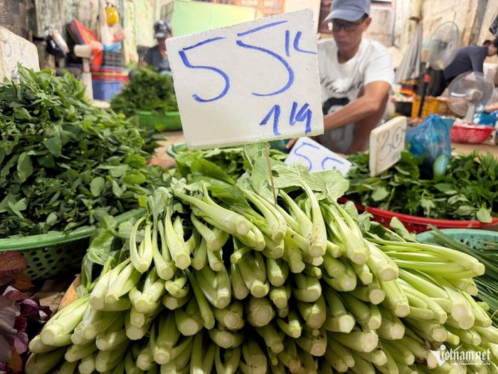 Rau cải ngọt về chợ có giá 55.000 đồng/kg. Ảnh: Thu Hà