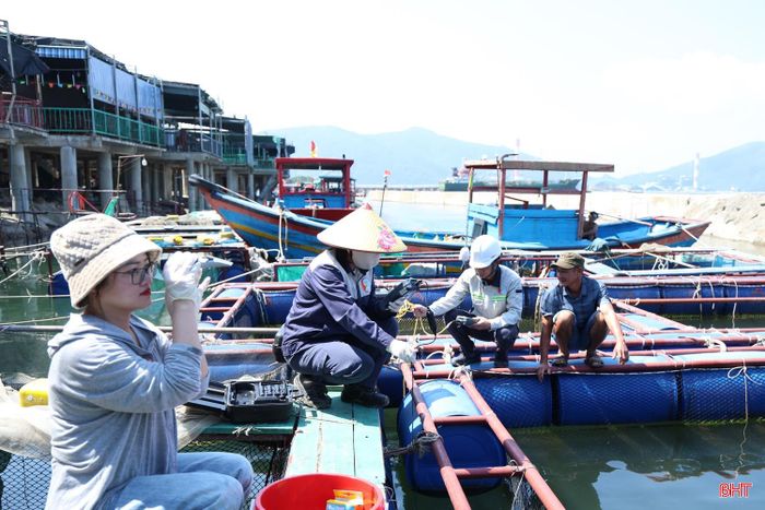 Lấy mẫu tại điểm nuôi cá lồng bè ở Vũng Áng.