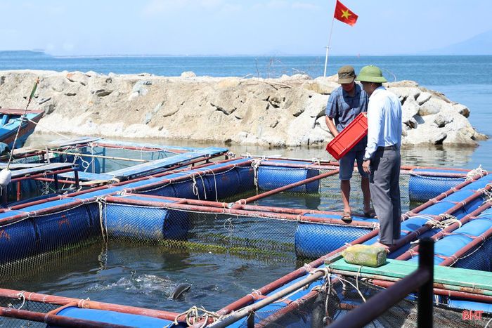 Sở Nông nghiệp và Môi trường khuyến cáo người nuôi cá tại phường Vũng Áng tăng cường theo dõi sức khỏe đàn cá, điều chỉnh thức ăn phù hợp, bổ sung vitamin, khoáng chất.