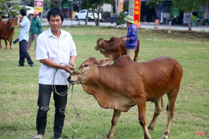 Chương trình hỗ trợ không chỉ có ý nghĩa về vật chất mà còn là sự sẻ chia, động viên, khích lệ và tiếp thêm niềm tin, động lực để các gia đình có điều kiện phát triển sản xuất, tạo việc làm, tăng thu nhập, từng bước ổn định cuộc sống, vươn lên thoát nghèo bền vững.