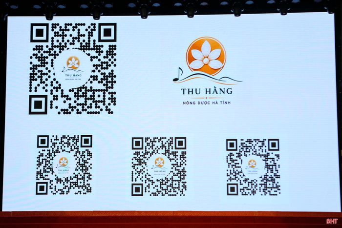 Logo nhận diện thương hiệu và các mã QR trên sản phẩm của HTX Nông sản dược liệu Thu Hằng do Hội LHPN Hà Tĩnh, Tổ tư vấn hỗ trợ phụ nữ khởi nghiệp tỉnh và Công ty MEVI (Hà Nội) hỗ trợ xây dựng.