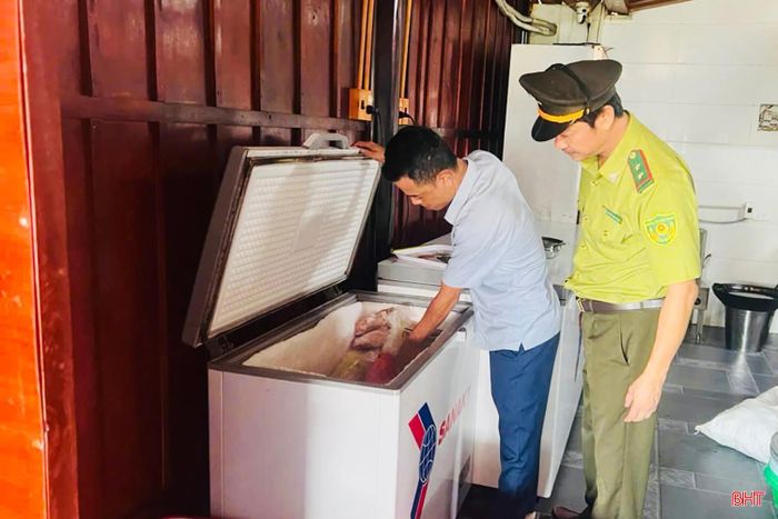 Đội Kiểm lâm cơ động và PCCCR (Chi cục Kiểm lâm) và Hạt Kiểm lâm Thạch Hà phối hợp với các lực lượng kiểm tra tại một số chợ, cơ sở kinh doanh nhằm kịp thời phát hiện việc mua bán, tiêu thụ chim hoang dã.