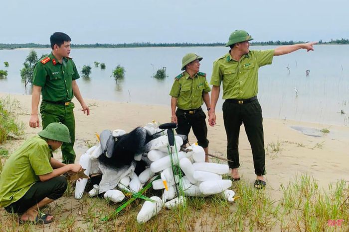 Theo ngành chức năng, tình trạng đánh bắt chim di cư tại các địa phương ở Hà Tĩnh hiện đã giảm hơn 70% so với trước đây. Điều này cho thấy sự chuyển biến tích cực trong nhận thức, ý thức chấp hành của người dân và sự vào cuộc hiệu quả của các lực lượng và địa phương.
