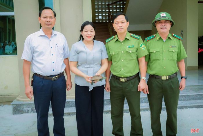 Cá thể rùa ba gờ được bàn giao để chăm sóc và thả về môi trường tự nhiên.
