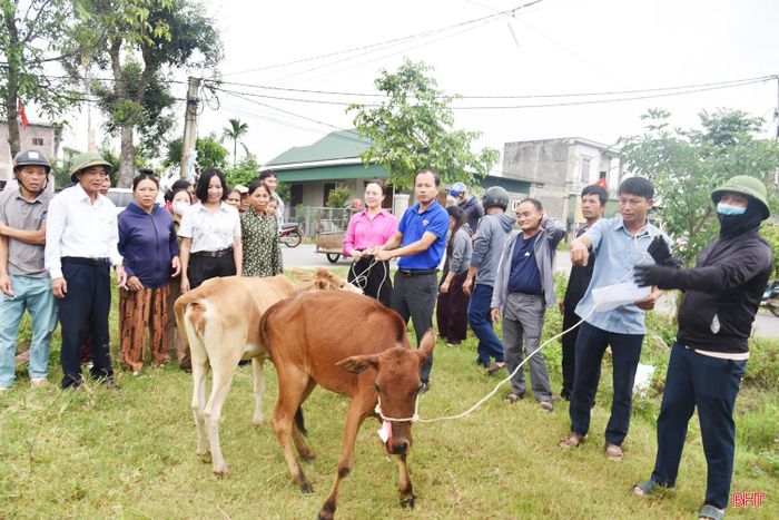 Theo đó, mỗi hộ được hỗ trợ 1 con bê giống trị giá 12 triệu đồng, tổng kinh phí hỗ trợ đợt này là 144 triệu đồng. Đây là nguồn được trích từ Quỹ Cứu trợ tỉnh, nhằm hướng tới mục tiêu “không để ai bị bỏ lại phía sau”.
