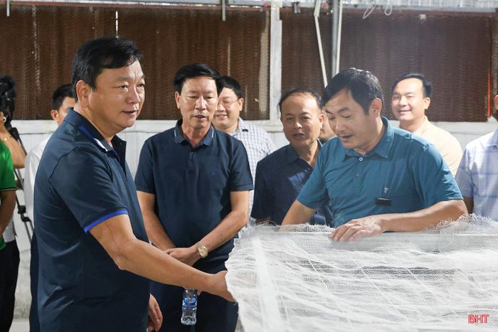 Tỉnh sẽ tăng cường chuyển giao khoa học kỹ thuật, thúc đẩy liên kết giữa người dân, hợp tác xã và doanh nghiệp trong phát triển nghề trồng dâu, nuôi tằm.