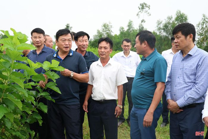 Đoàn khảo sát mô hình trồng dâu, nuôi tằm tại hộ ông Lê Viết Bình, xã Đức Thịnh (tỉnh Hà Tĩnh).