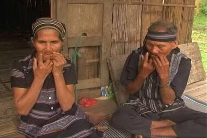 Vợ chồng ông Phạm Văn Nguyên và Phạm Thị Bốc đã từng nên duyên nhờ cây đàn Ra ngói. (Ảnh: TTXVN)