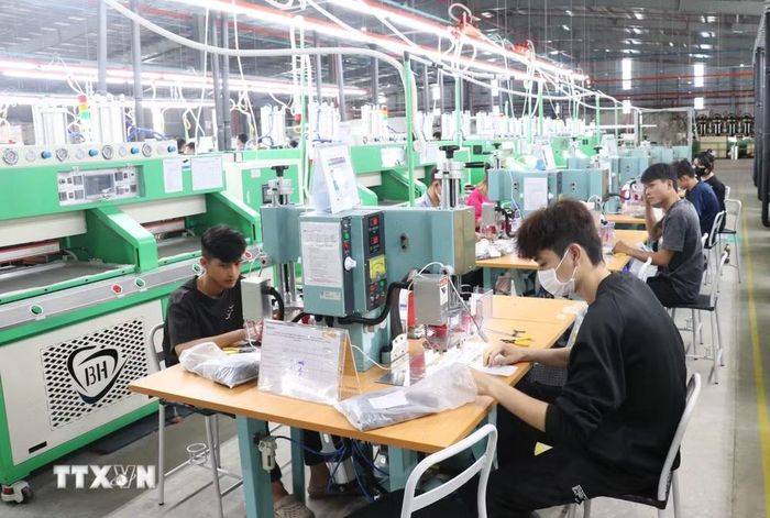 Công nhân thực hiện các công đoạn sản xuất trong dây chuyền công nghiệp, thể hiện năng lực sản xuất ngày càng được nâng cao của doanh nghiệp Tây Ninh. (Ảnh: Bùi Giang/TTXVN)