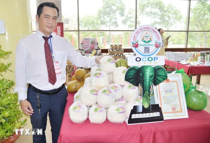 Ông Nguyễn Trung Quý, Giám đốc Hợp tác xã nông nghiệp sạch Hưng Thịnh Phát giới thiệu các sản phẩm OCOP của hợp tác xã. (Ảnh: Hữu Chí/TTXVN)