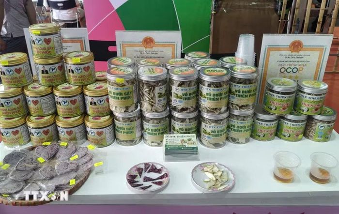 Các sản phẩm OCOP tiêu biểu từ trái thanh long, bưởi, mãng cầu của Hợp tác xã Thiên Phúc ở xã Mỹ Tịnh An, tỉnh Đồng Tháp. (Ảnh: Hữu Chí/TTXVN)