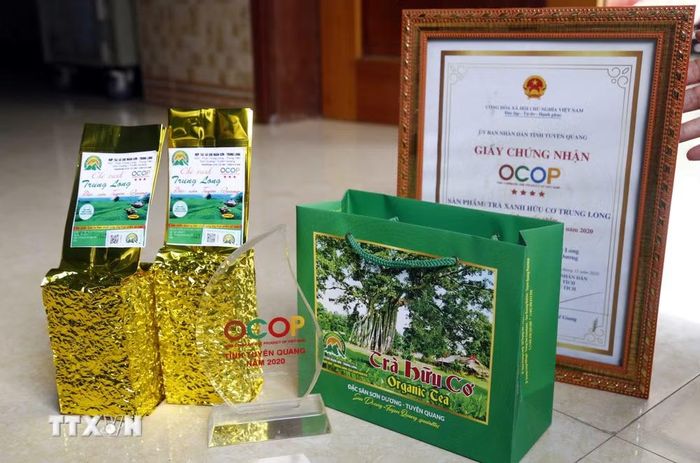 Sản phẩm chè xanh hữu cơ của Hợp tác xã chè Ngân Sơn Trung Long. (Ảnh: Quang Đán/TTXVN)