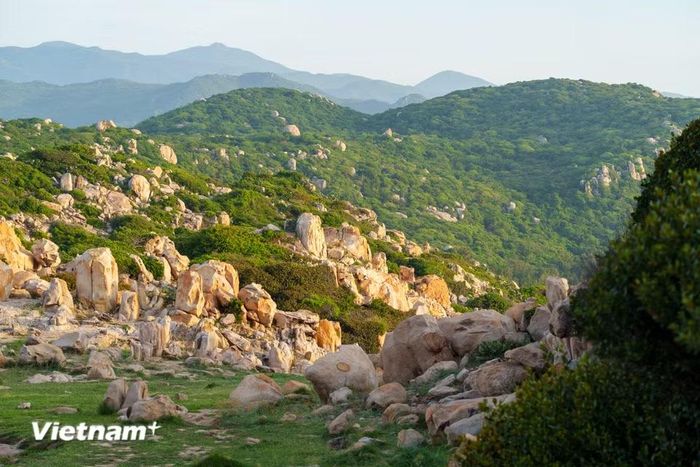 Hệ thống đá tự nhiên với đủ mọi kích thước xếp chồng lên nhau một cách ngoạn mục. Chúng được bào mòn qua hàng triệu năm bởi nắng, gió và hơi mặn của biển. (Ảnh: Thanh Phong/Vietnam+)
