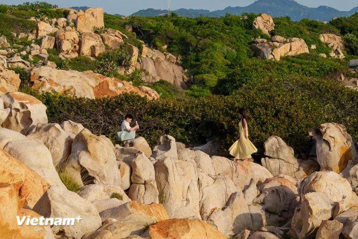 Đứng trên những mỏm đá chênh vênh chìa ra biển, du khách được tận hưởng trọn vẹn cảm giác tự do giữa thiên nhiên và lưu giữ những bức ảnh check-in tuyệt đẹp. (Ảnh: Thanh Phong/Vietnam+)