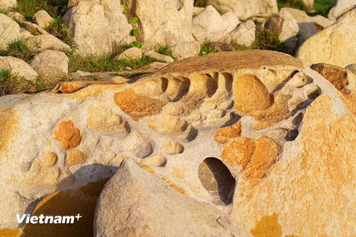 Bề mặt đá bị xâm thực tạo thành những lỗ hổng tổ ong kỳ lạ, là bằng chứng rõ nét nhất cho sự bào mòn không ngừng nghỉ của tự nhiên. (Ảnh: Thanh Phong/Vietnam+)