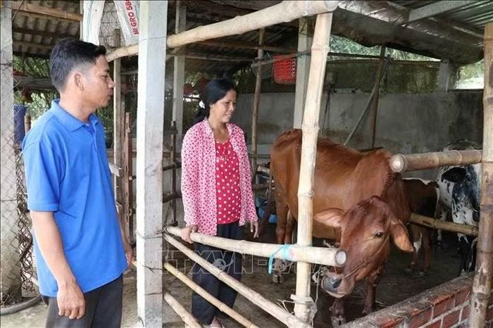 Bà Thạch Thị Khone, ấp Nô Pộk, xã Nhị Trường, được hỗ trợ xây dựng nhà ở và phát triển sinh kế.