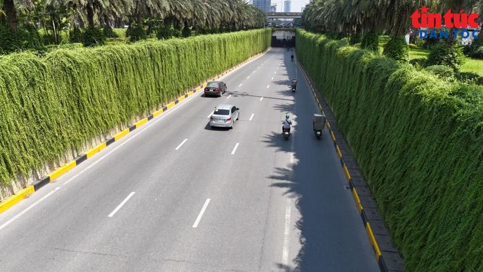 Đặc biệt trong những ngày hè oi bức, màu xanh dịu mát trên cung đường này càng trở nên có giá trị.