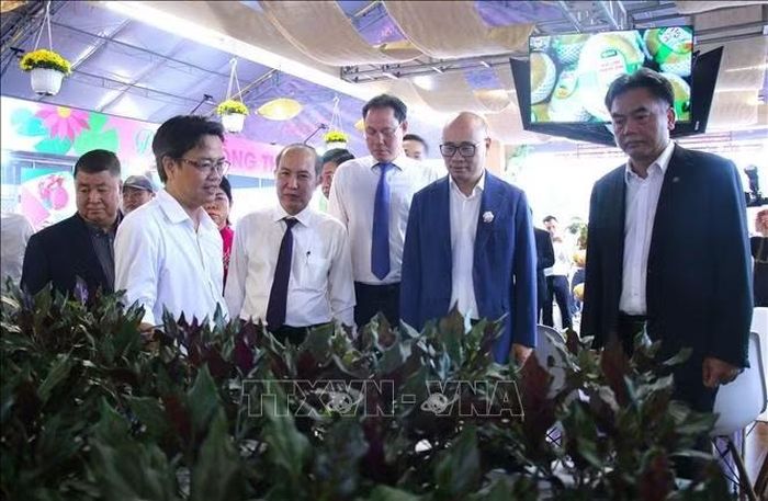 Đại diện Hội Nông dân Thành phố Hồ Chí Minh giới thiệu với các đại biểu mô hình trồng rau rừng công nghệ cao.