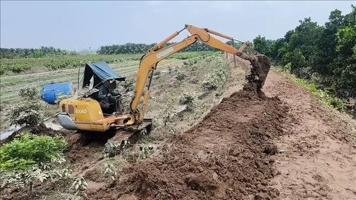 Hoàn thành gia cố tuyến đê bao dự phòng 1 tại cồn Cái Gà, xã Chợ Lách.