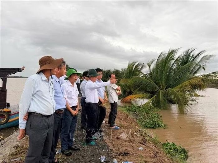 Kiểm tra khu vực đê bao cồn Cái Gà, xã Chợ Lách.