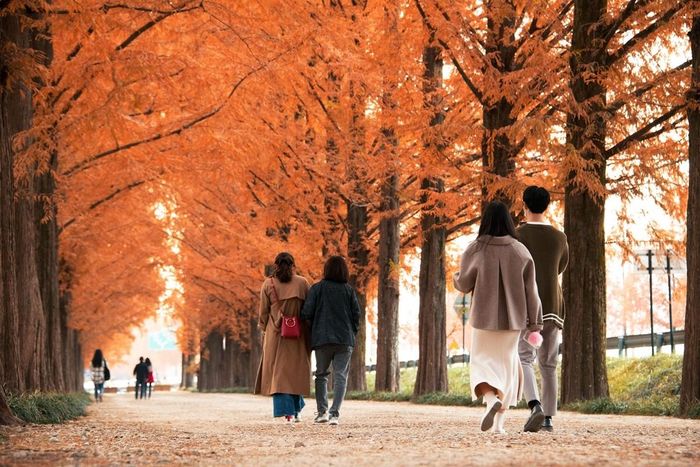 Tháng 10 luôn là thời điểm lượng khách quốc tế tăng cao nhất tại Hàn Quốc. Ảnh: Korea.net