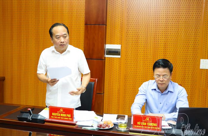 Phó Chủ tịch UBND tỉnh Nguyễn Minh Phú phát biểu tại cuộc họp.