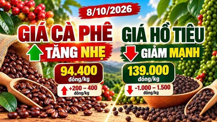 Hình minh họa.