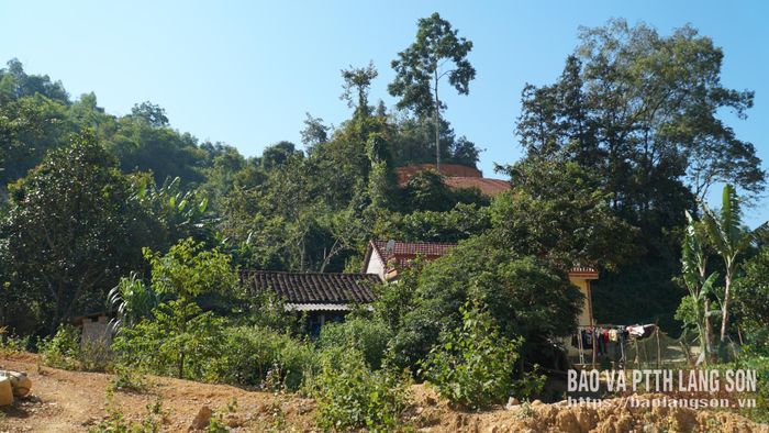 Hiện trạng mặt bằng còn vướng mắc của hạng mục đường gom tại Km28 