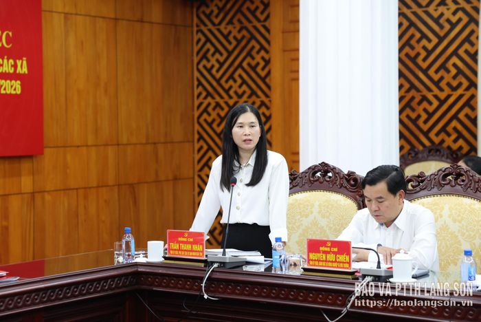 Đồng chí Trần Thanh Nhàn, Phó Chủ tịch UBND tỉnh phát biểu tại chương trình làm việc