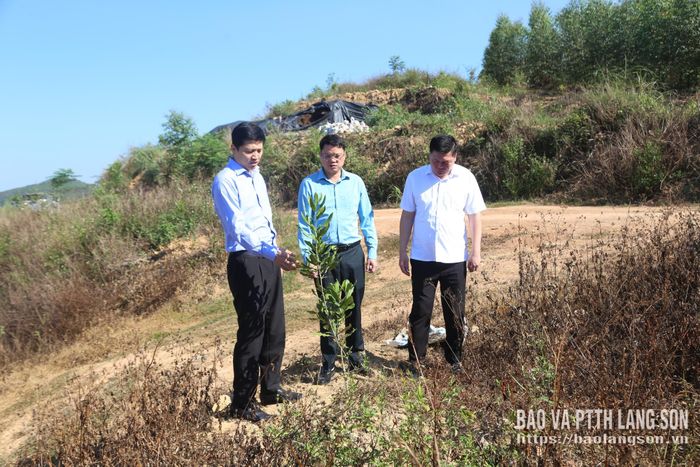 Đồng chí Phó Bí thư Tỉnh ủy và thành viên Tổ công tác kiểm tra dự án trồng cây mắc ca tại xã Quốc Việt
