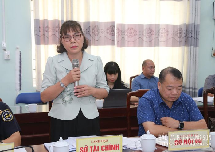 Lãnh đạo Sở Tài chính phát biểu trao đổi tại buổi làm việc