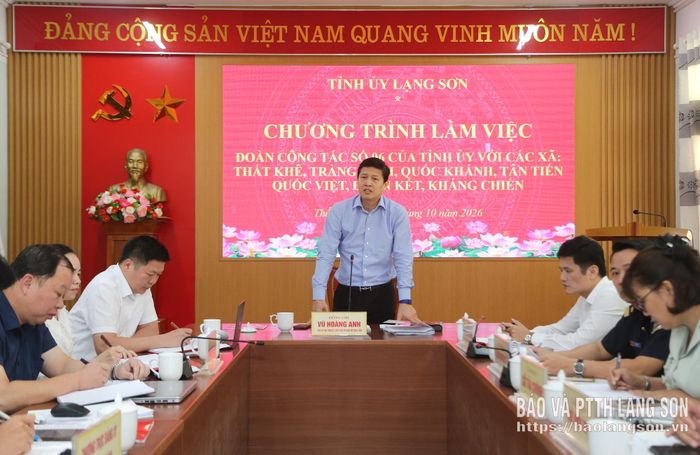 Đồng chí Phó Bí thư Tỉnh ủy, Tổ trưởng Tổ công tác phát biểu kết luận 