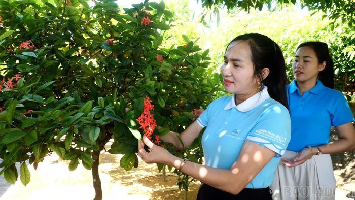 Xã Quy Mông là một trong những địa phương triển khai hiệu quả công tác tuyên truyền, vận động người dân tham gia xây dựng mô hình “Nhà sạch, vườn đẹp”. Hoạt động này được gắn liền với việc thực hiện các tiêu chí nông thôn mới nâng cao , hưởng ứng cuộc vận động “Xây dựng gia đình 5 không, 3 sạch” của Hội Liên hiệp Phụ nữ.