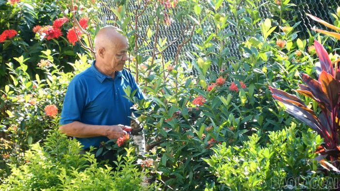 Ông Nguyễn Công Đoàn cho biết: "Mỗi lần đi làm về mệt mỏi, ngồi nghỉ ngơi, uống nước nhìn ra sân vườn sạch sẽ, thoáng mát, hoa quả sai trĩu tôi lại thấy vui vẻ, yêu đời hơn".