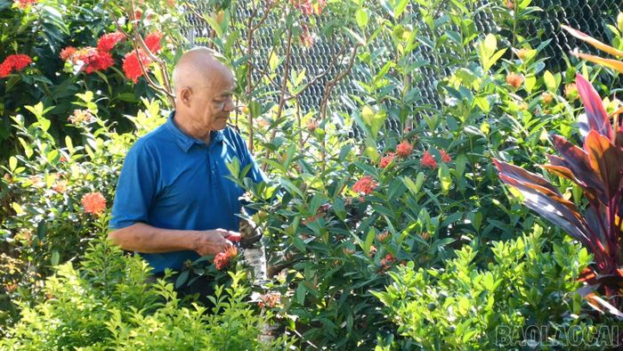 Ông Nguyễn Công Đoàn cho biết: "Mỗi lần đi làm về mệt mỏi, ngồi nghỉ ngơi, uống nước nhìn ra sân vườn sạch sẽ, thoáng mát, hoa quả sai trĩu tôi lại thấy vui vẻ, yêu đời hơn".