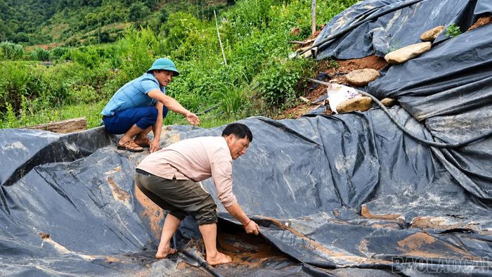 Tiền bán cá được ông Giàng tiếp tục tái đầu tư.