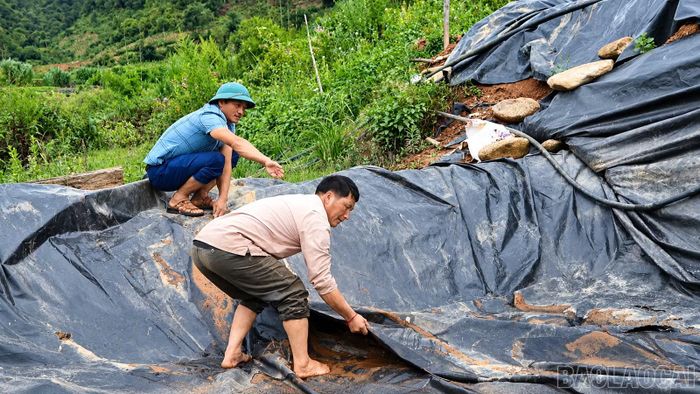 Tiền bán cá được ông Giàng tiếp tục tái đầu tư.