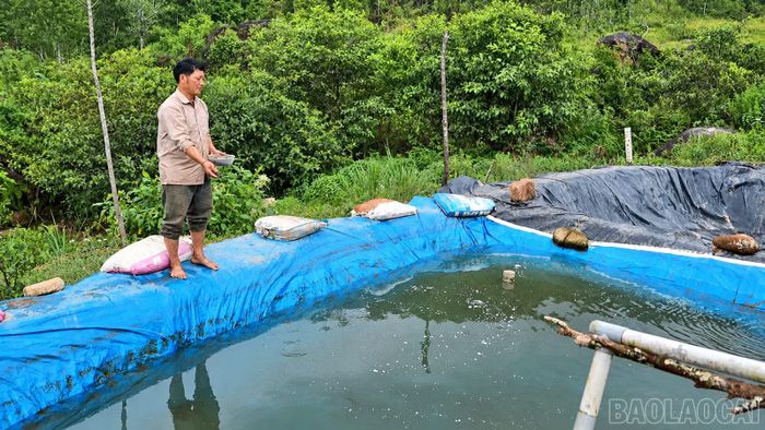  Mỗi lần xử lý sự cố là thêm một kiến thức được đúc rút để ông hiểu hơn về loài cá vốn còn xa lạ này. 