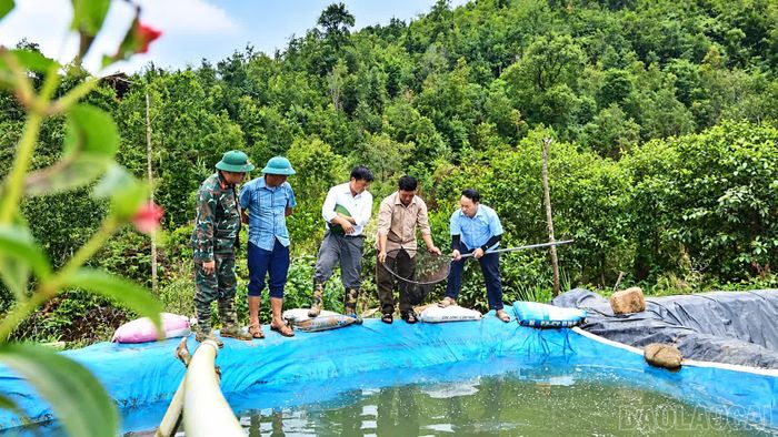 Ông Thào Nủ Giàng đã dùng toàn bộ tiền tích lũy để đầu tư xây dựng mô hình nuôi cá nước lạnh.