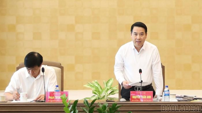 Phó Bí thư Tỉnh ủy, Chủ tịch UBND tỉnh Nguyễn Tuấn Anh phát biểu kết luận cuộc họp.