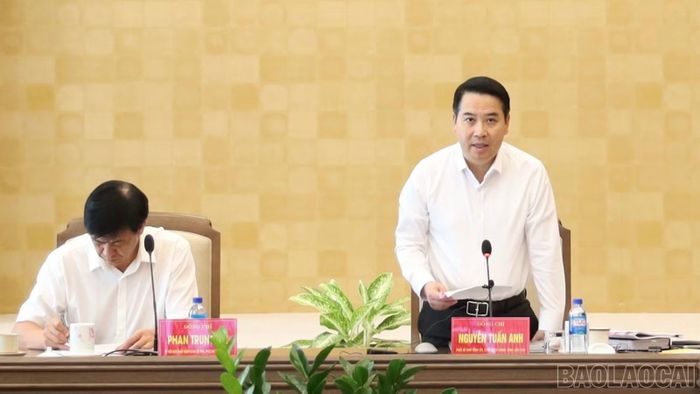 Phó Bí thư Tỉnh ủy, Chủ tịch UBND tỉnh Nguyễn Tuấn Anh phát biểu kết luận cuộc họp.