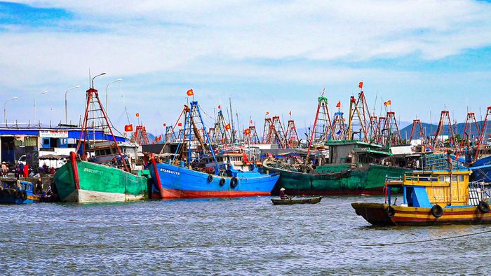 Tàu thuyền tại Cảng cá La Gi. Ảnh: Ngọc Lân