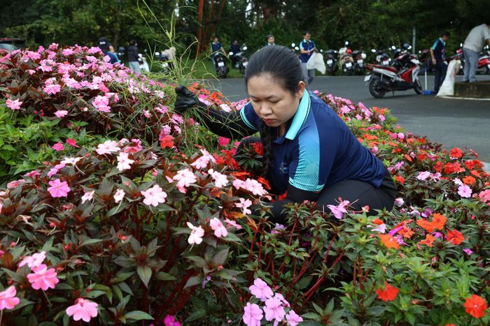 Cán bộ, phóng viên Báo và Phát thanh, Truyền hình Lâm Đồng tham gia dọn vệ sinh cơ quan tại trụ sở chính Đà Lạt