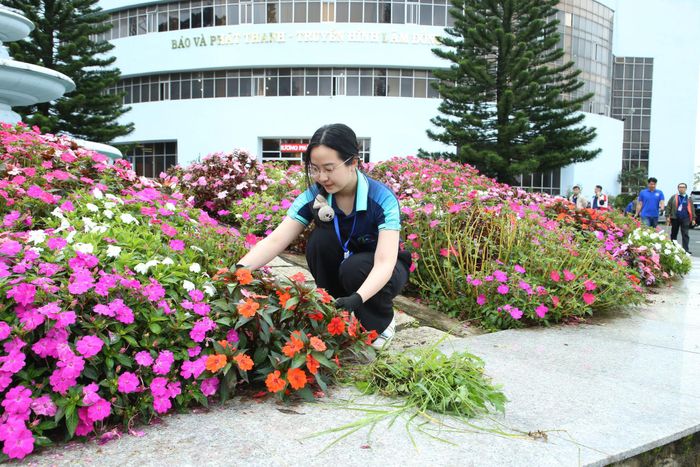 Đoàn viên Công đoàn Báo và Phát thanh, Truyền hình Lâm Đồng tham gia dọn vệ sinh cơ quan
