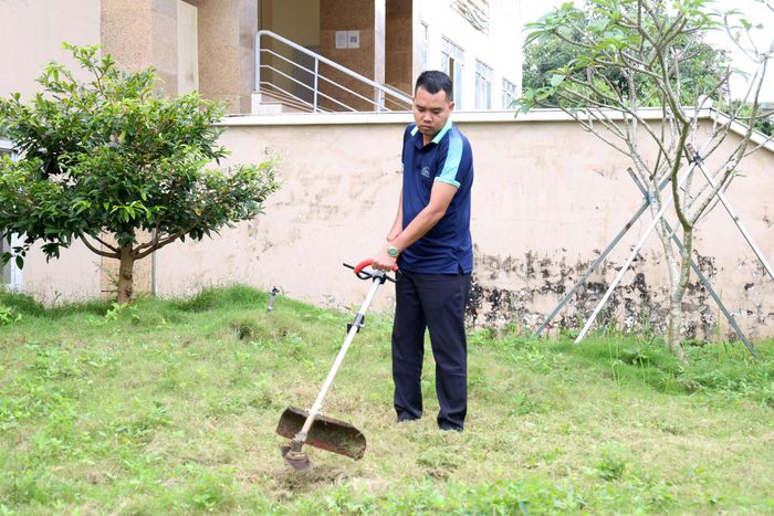 Cán bộ, phóng viên Báo và Phát thanh, Truyền hình Lâm Đồng tham gia cắt tỉa, dọn dẹp cỏ dại khu vực tiểu cảnh trước trụ sở ở phường Bắc Gia Nghĩa