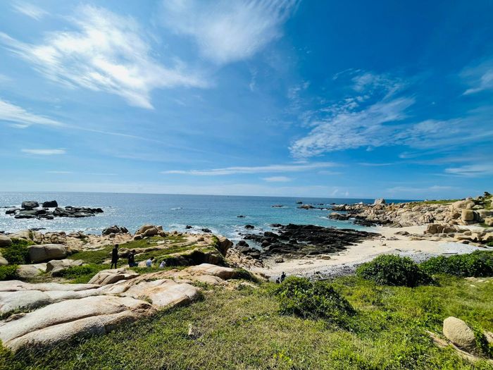 Bãi Tàu - nơi vích lên đẻ trứng (Ảnh: Phi Phi)