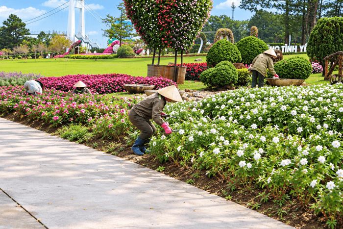 Các địa phương khu vực trung tâm Đà Lạt chỉnh trang khuôn viên, tiểu cảnh chào mừng Festival hoa năm 2026