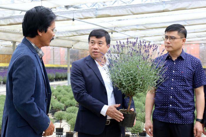 Ủy viên Ban Chấp hành Trung ương Đảng, Bí thư Tỉnh ủy, Trưởng Đoàn ĐBQH tỉnh Y Thanh Hà Niê Kđăm (ở giữa) trao đổi với lãnh đạo Công ty TNHH Dalat Hasfarm về quy trình sản xuất các sản phẩm thời điểm tháng 5/2026